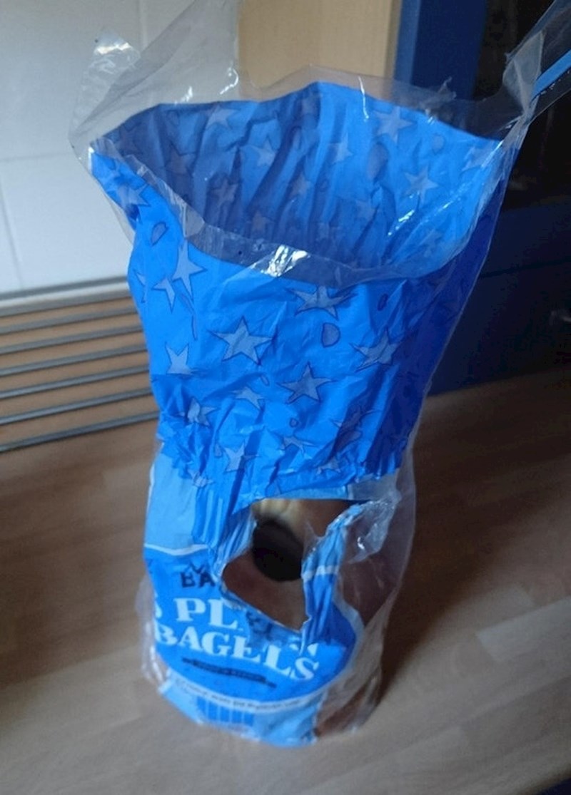 Ovo mora biti neki monstrum 😅