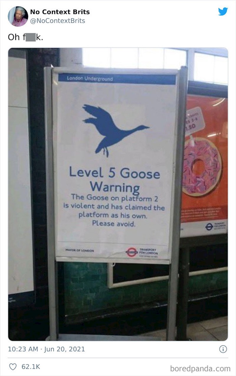 Agresivna guska prisvojila platformu