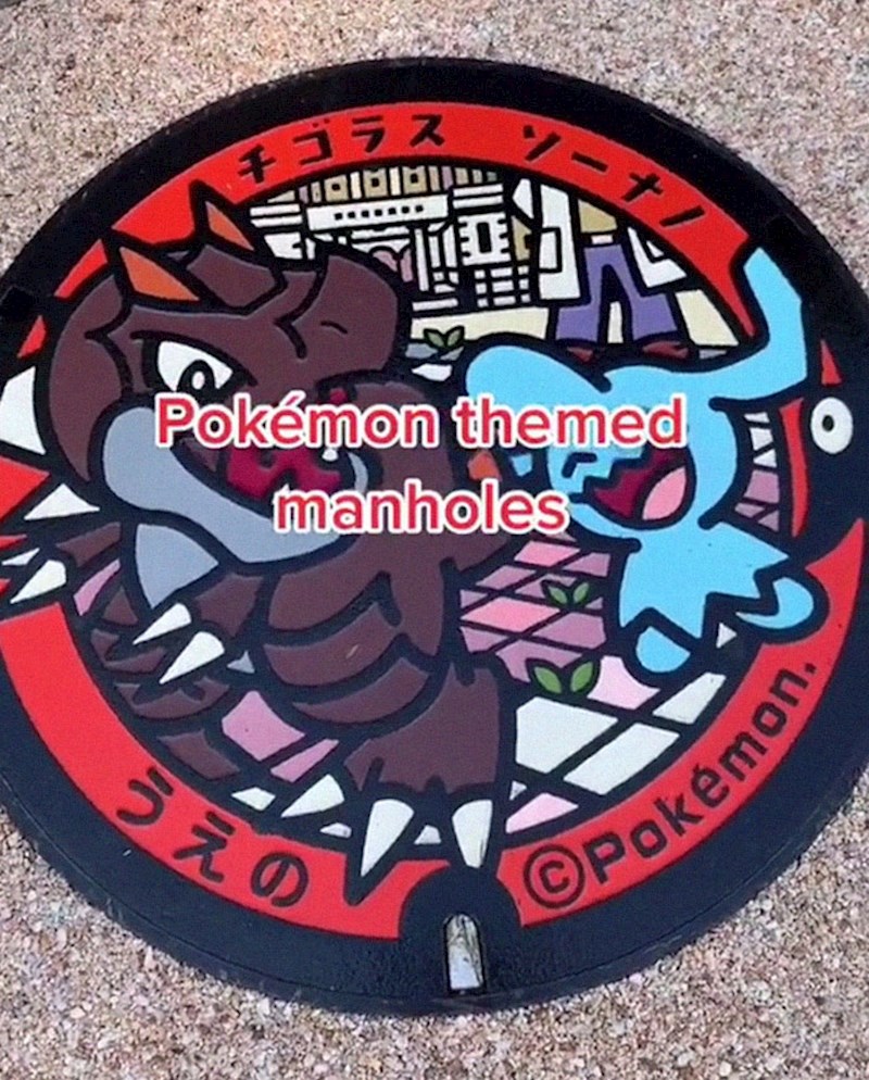 Oslikani poklopci šahti