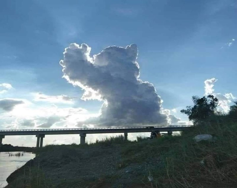 Vidite li i vi macu koja pruža šapu u zrak?