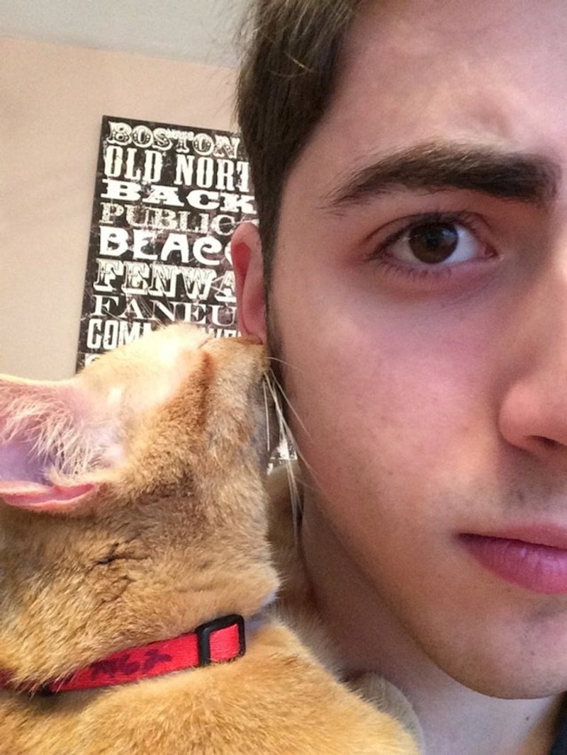 Pronašao sam mačića na ulici. Svaki put zaspe sisajući moju ušnu resicu. Očito je rano odvojen od mame