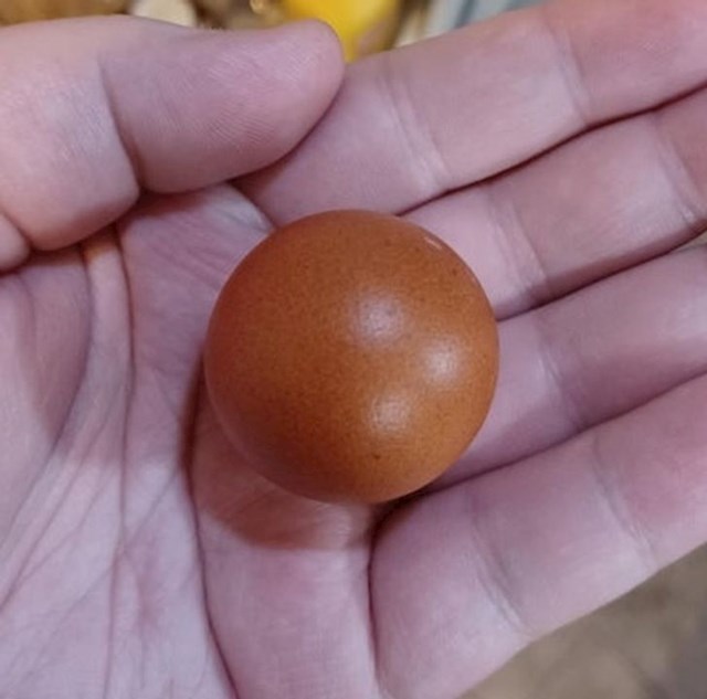 Jaje u obliku kugle!