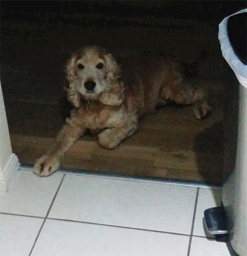 "Kuhinja nikad ne bi smjela biti zabranjena zona!" br.2