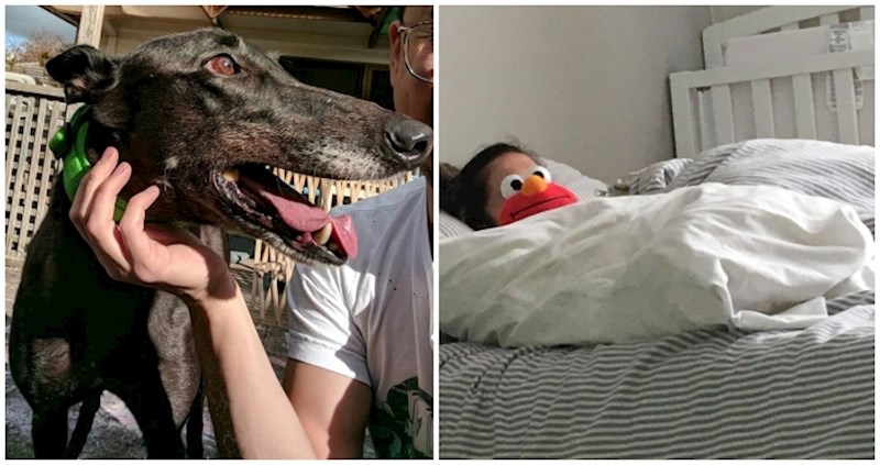 14 dokaza da tajna najboljih fotki leži u dobrom tajmingu