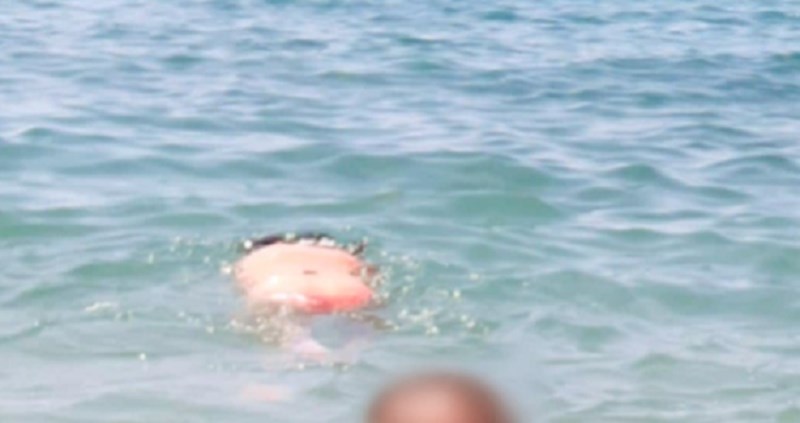 Tip s ozlijeđenim prstom nije odolio plivanju, pa se snašao i prst zaštitio na urnebesan način