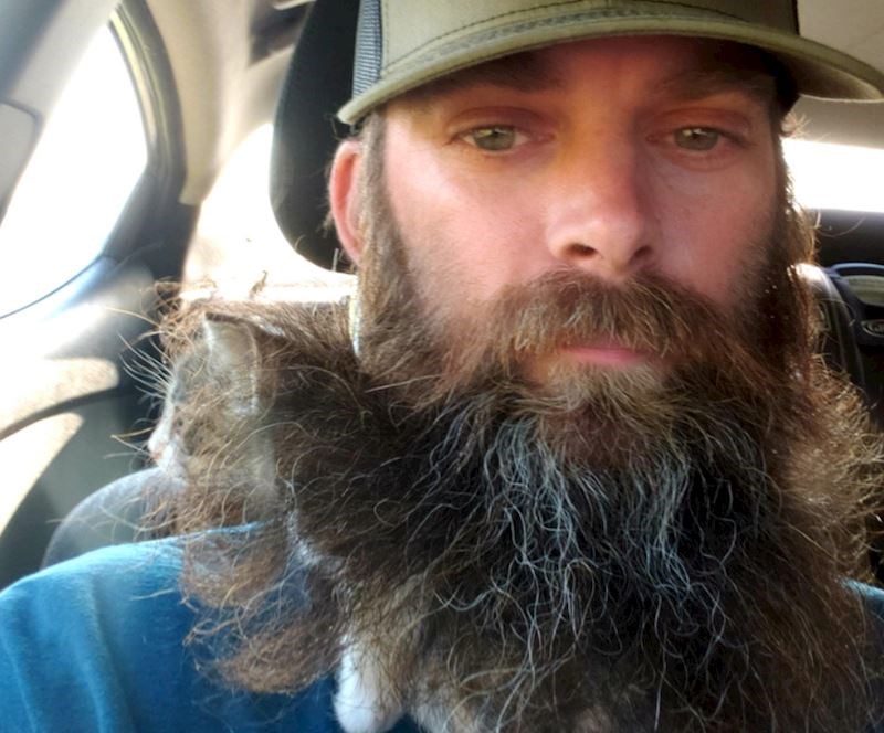 Spasio sam je od sigurne smrti na autoputu. Zaklon je pronašla pod mojom bradom