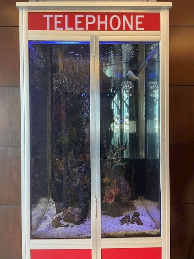 Telefonska govornica pretvorena u akvarij