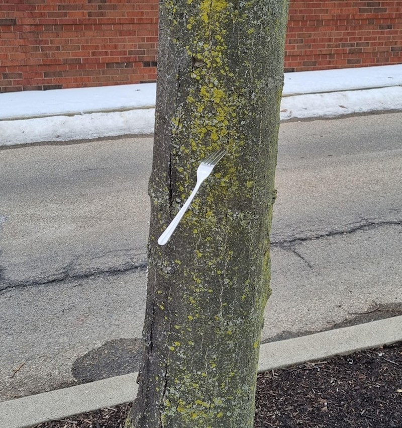 "Šetam ulicom, kad odjednom ugledah ovo..."