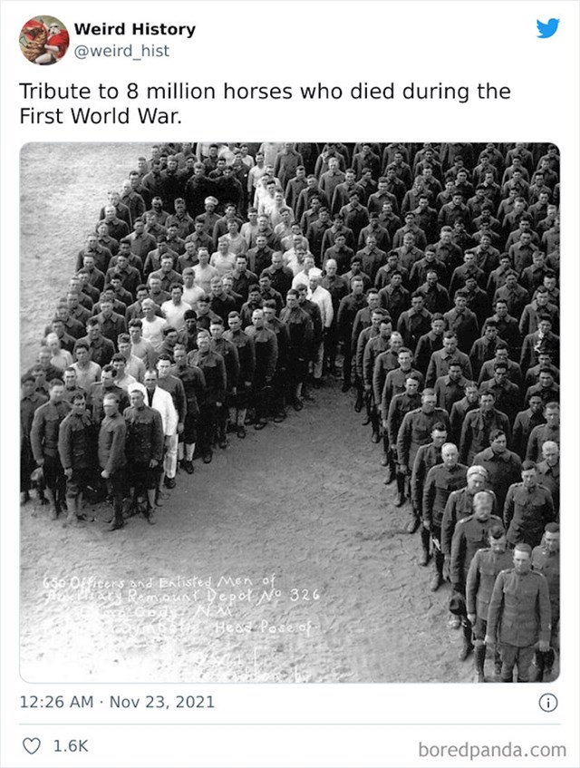 Fotografija posvećena 8 milijuna konja koji su izgubili život u Prvom svjetskom ratu