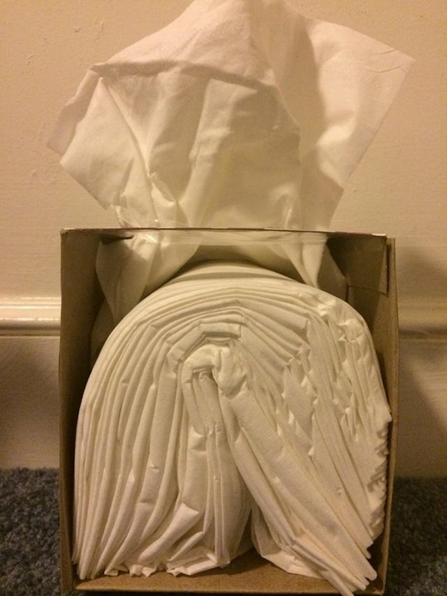 Ovako su složene papirnate maramice u kutiji