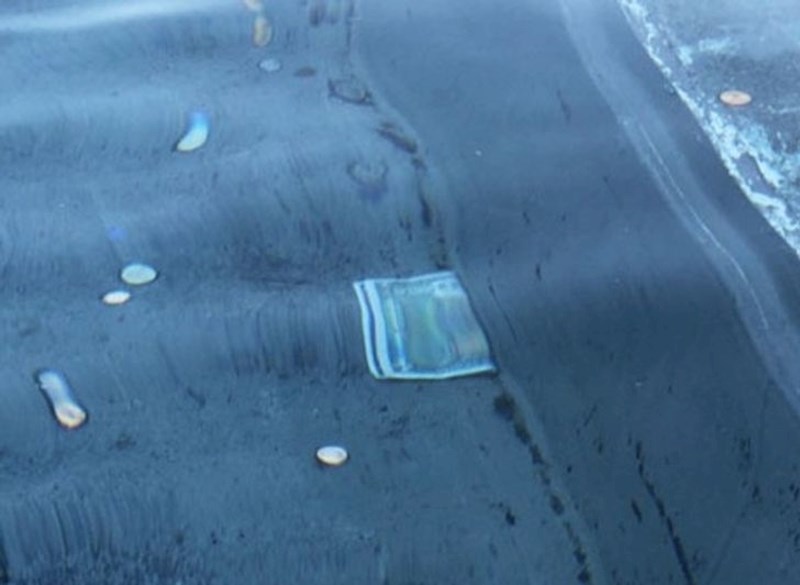 "Pitala me dolar, ali mi nije rekla zašto joj treba"