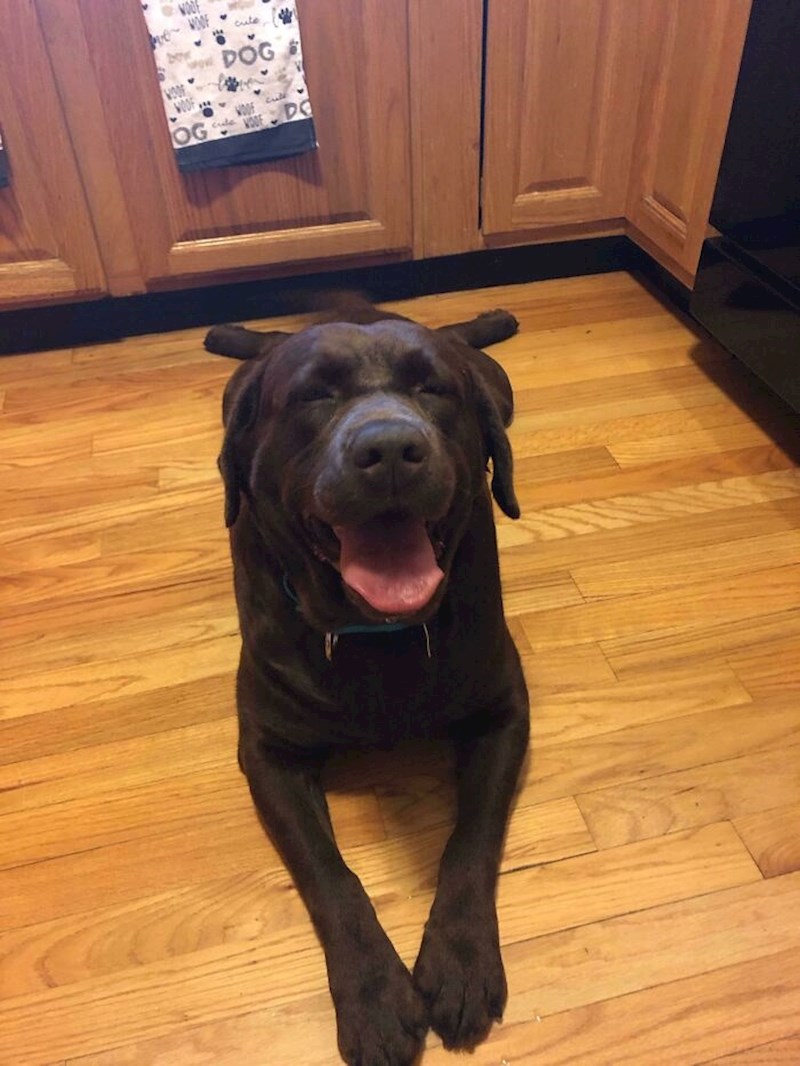 Dan kada je on spasio nas, ne mi njega!