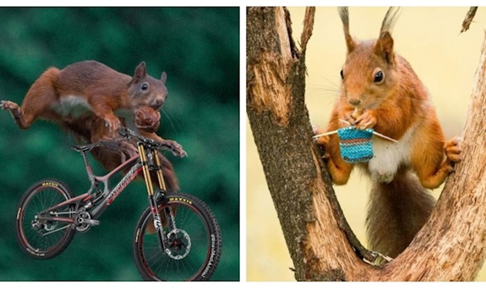 Tip je zamolio da mu u photoshopu obrade fotke divljine i definitivno nije očekivao ovaj rezultat!
