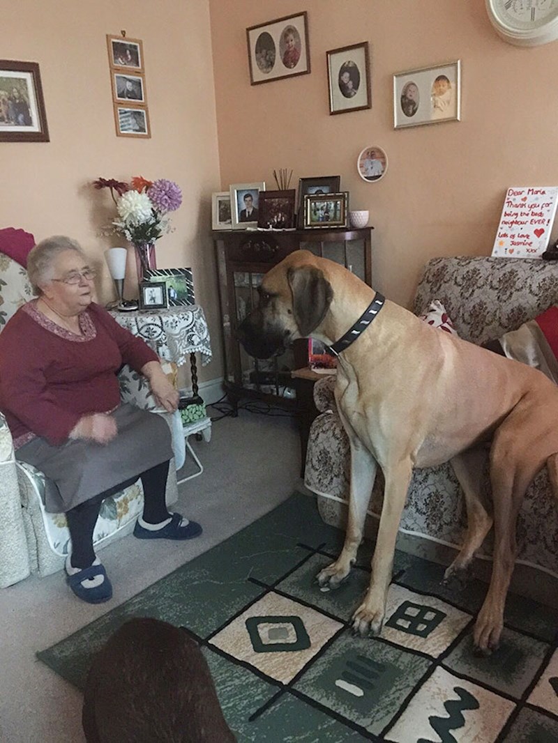 One paze na svoje vlasnike