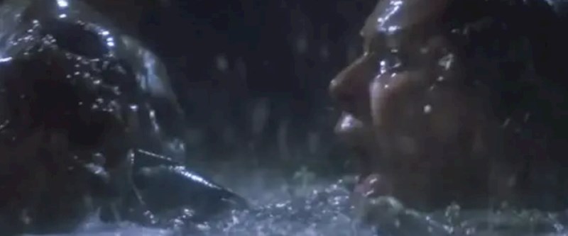 JoBeth Williams je snimila scenu "Poltergeista" u bazenu punom pravih kostura jer su lažni, navodno, bili preskupi. Glumica to, naravno, nije znala do kraja snimanja.