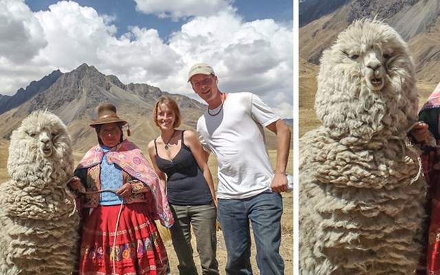 ''Lama s najbujnijim krznom u cijelom Peruu''