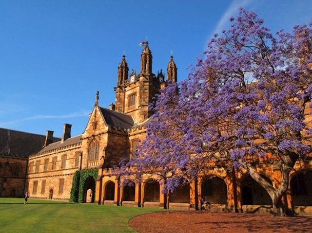 Sveučilište u Sydneyu, Australia