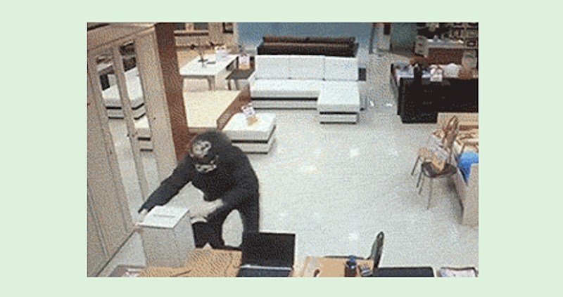 Smotanog lopova karma stigla na presmiješan način; skoro pa bi ga čovjek žalio!