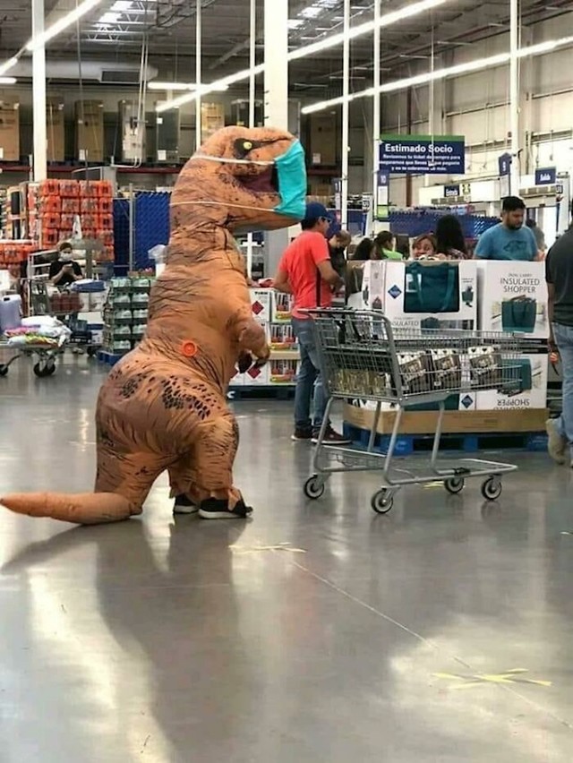 11.