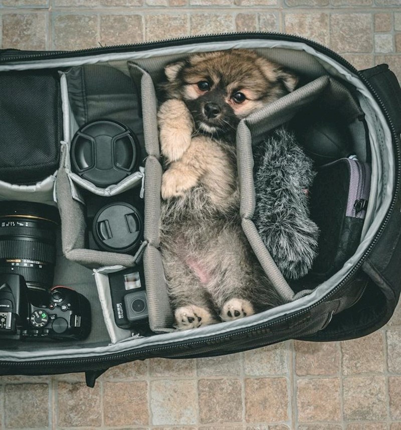 Kada idem na put, pakiram samo najosnovnije!