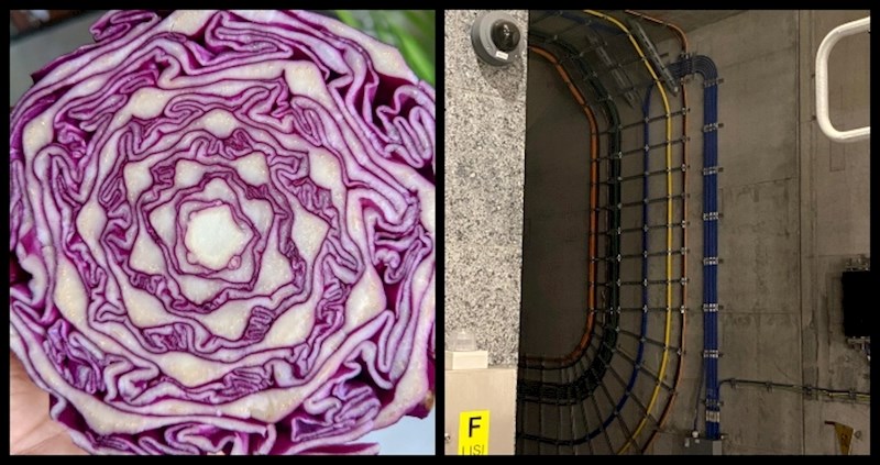 12 fotki koje izgledaju kao da su ispale iz najljepšeg sna nekog perfekcionista