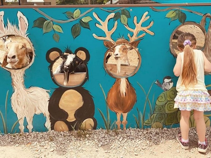 "Moja nećakinja traži koze"