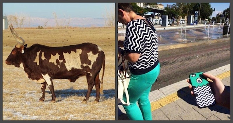 20+ primjera u kojima su se slučajne stvari savršeno poklopile i nastali su ovi fora prizori