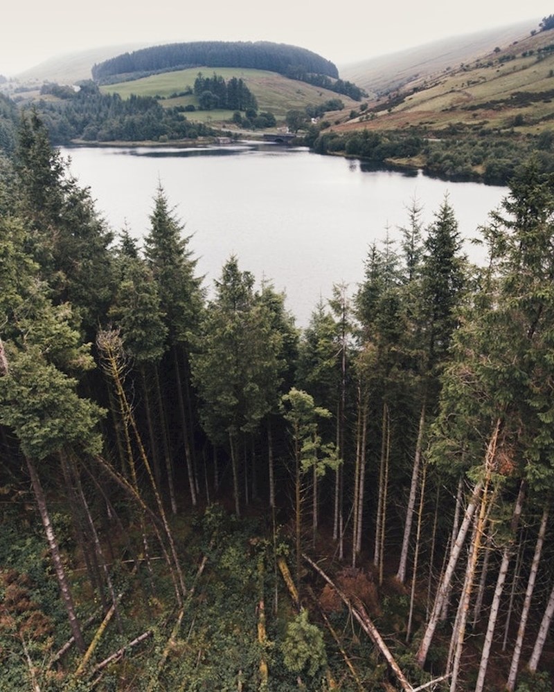 5. Čini li se i vama da je ovo jezero iznad stabala?