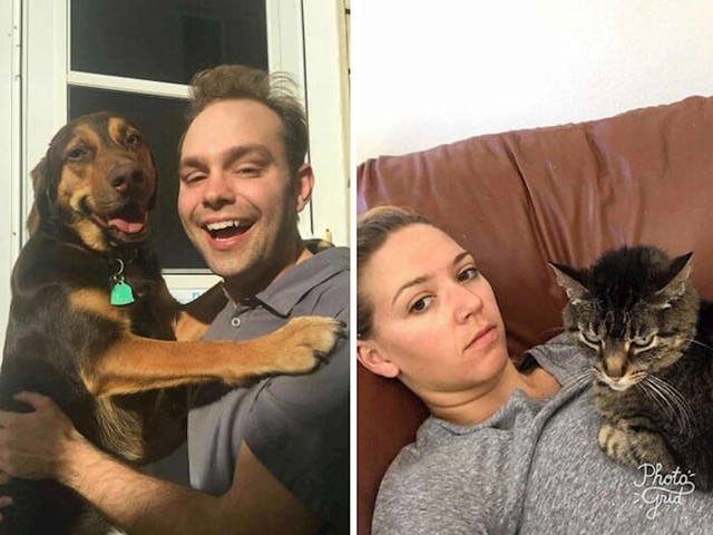 Moj pas i ja vs. žena i naša mačka