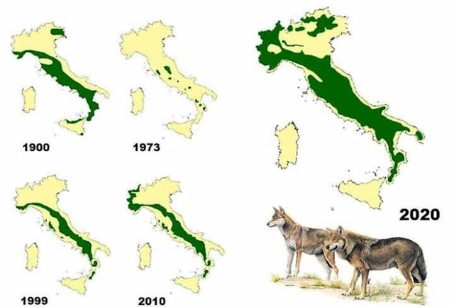 Staništa vukova u Italiji od 1900. do danas