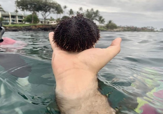 Plivač s afro frizurom ili?