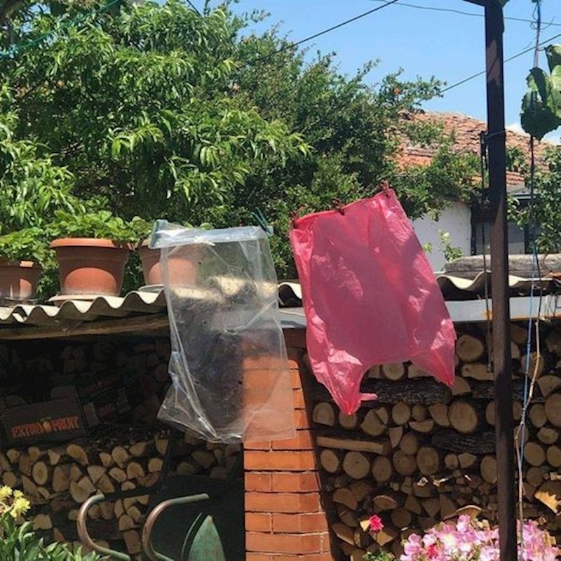 Samo ovdje se peru najlonske vrećice