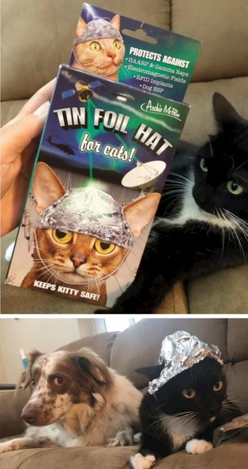 U ovom slučaju je definitivno smješniji proizvod od dizajna!