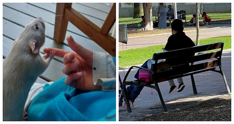 13 puta kada nam je Internet omogućio da iz prvog reda uživamo u jedinstvenim prizorima