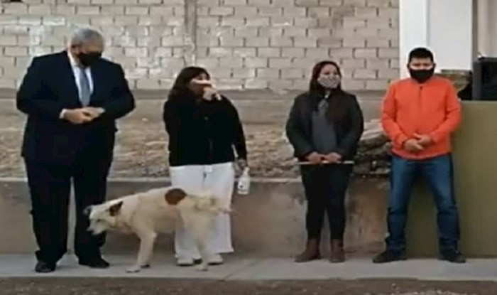 Načelnica je držala govor povodom otvaranja ureda baš na mjestu gdje se jedan pas odlučio olakšati