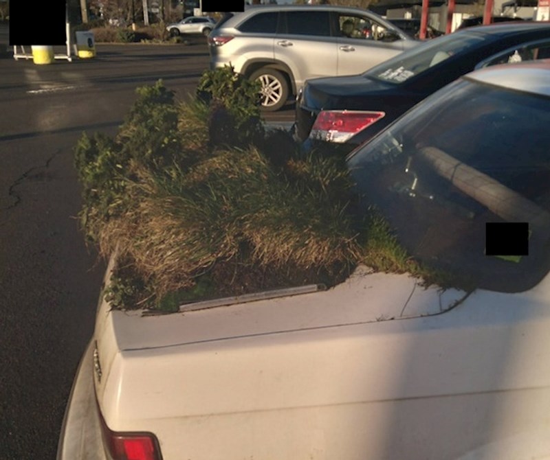 A netko je to isto pokušao napraviti u prtljažniku!