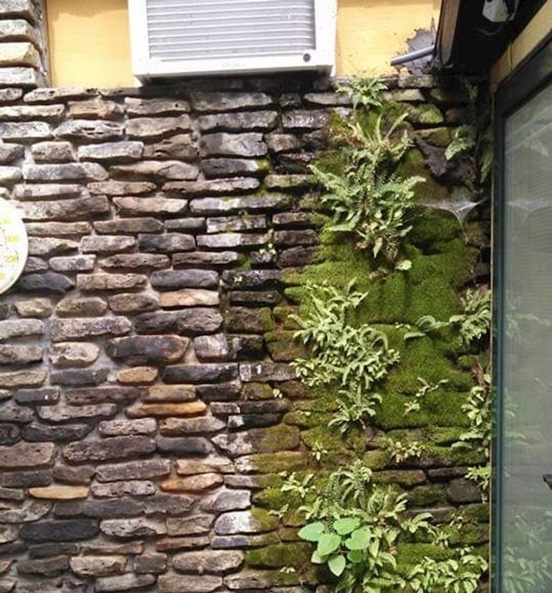 Na mjestu gdje se izlijeva voda iz klima uređaja stvorio se mali vrt!