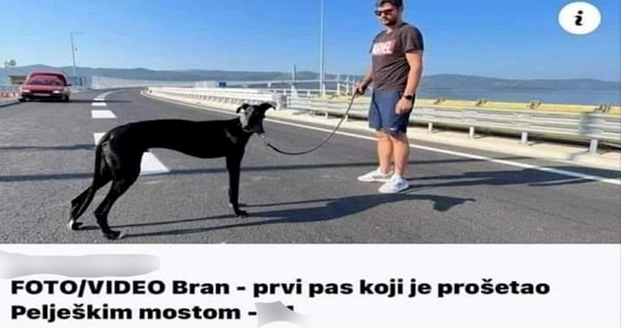 Fejsom se širi urnebesan komentar na priču o psu koji je prvi šetao Pelješkim mostom, morate vidjeti