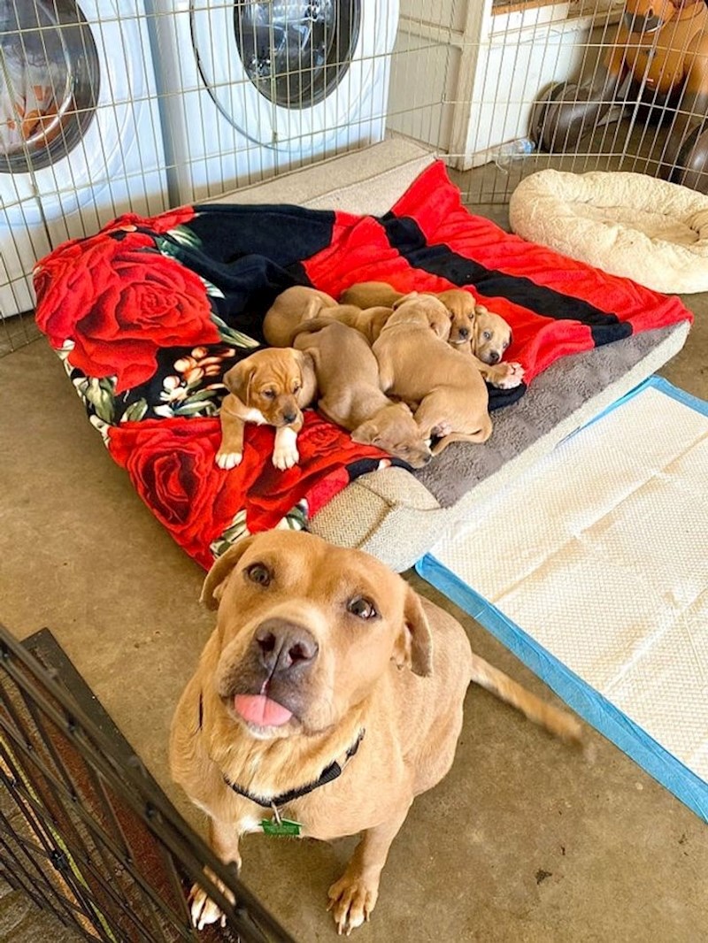 "Ovo sam sve ja okotila!"