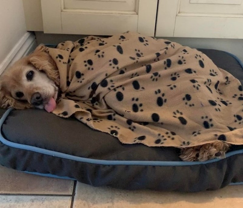 "Angie je 16 godina stara i još uvijek uživa u svakom danu"