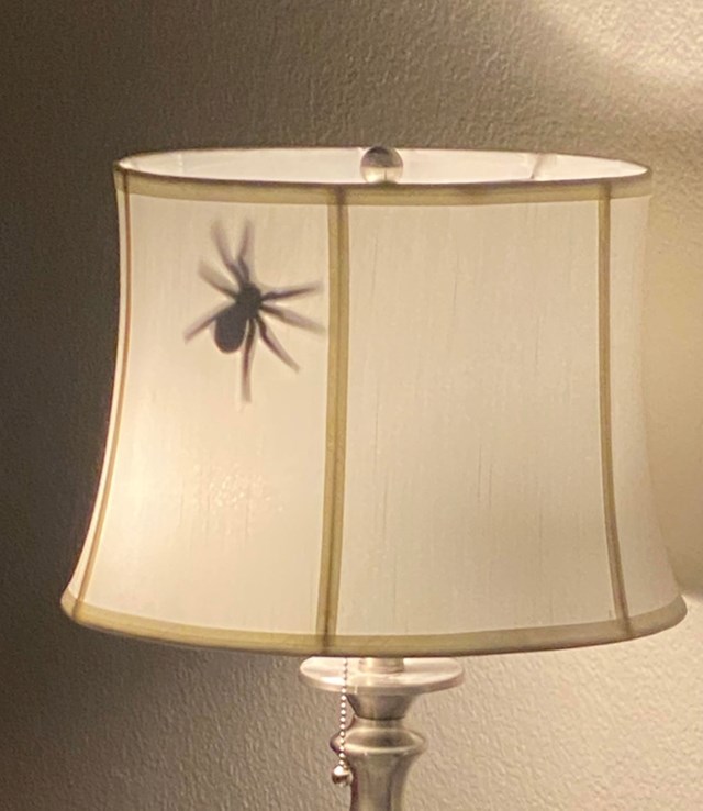 Izrezao sam papir u obliku pauka, zalijepio za unutarnju stranu lampe da prepadne onoga tko je upali. Ispalo je da sam prepao sam sebe navečer tog dana