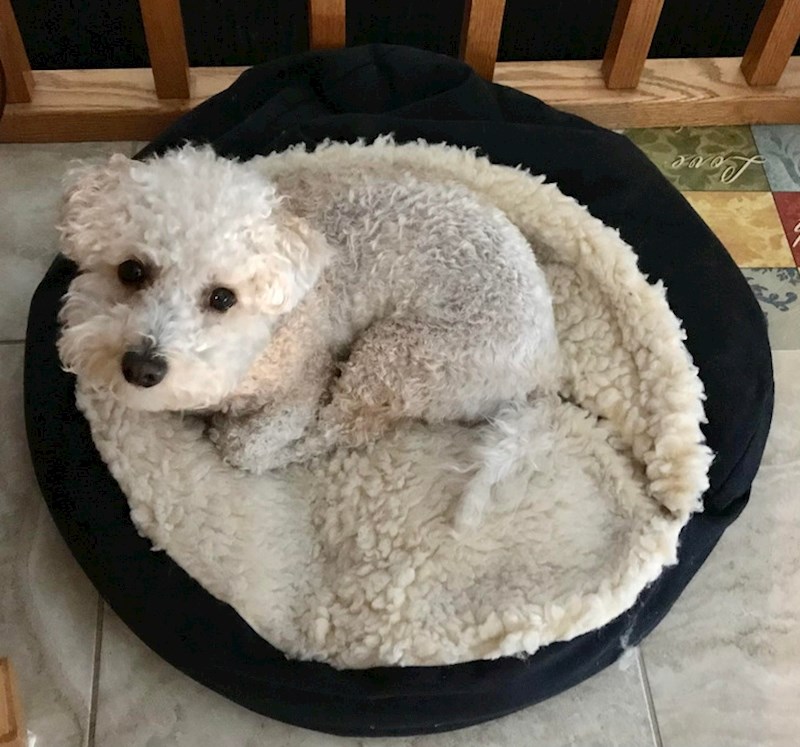 Stopio se sa svojim krevetićem