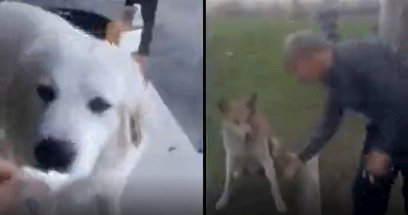 Umrijet ćete od smijeha na meme koji opisuje nešto što svi radimo kada kupujemo online