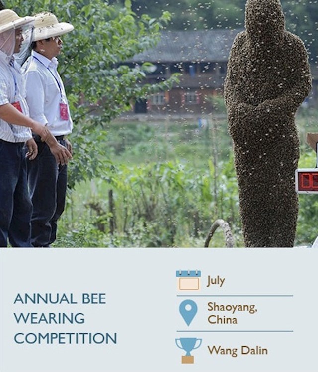Natjecanje u nošenju pčela