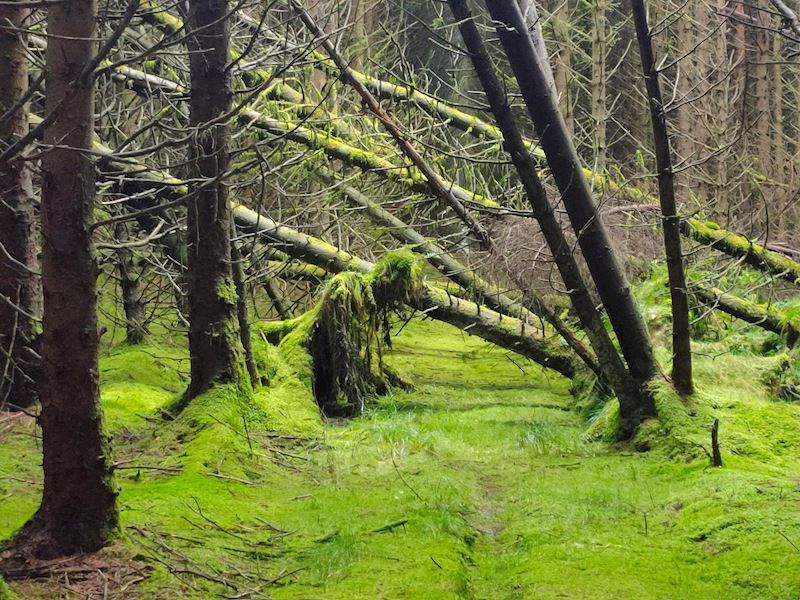 "Šetala sam natrag prema autu, padao je mrak, a čekalo me još dosta puta. Zaledila sam se kad sam ugledala ovo."