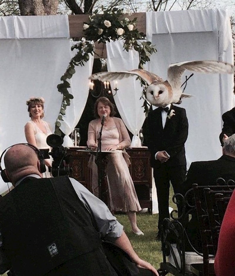 "Proglašavam vas sovom i ženom..."