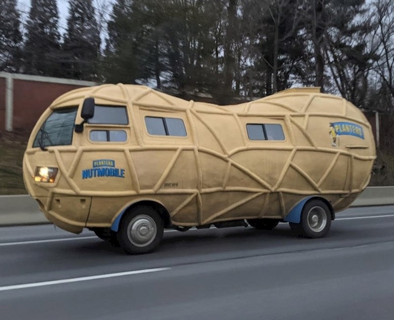 Barem je jasno koji mu je najdraži orašasti plod