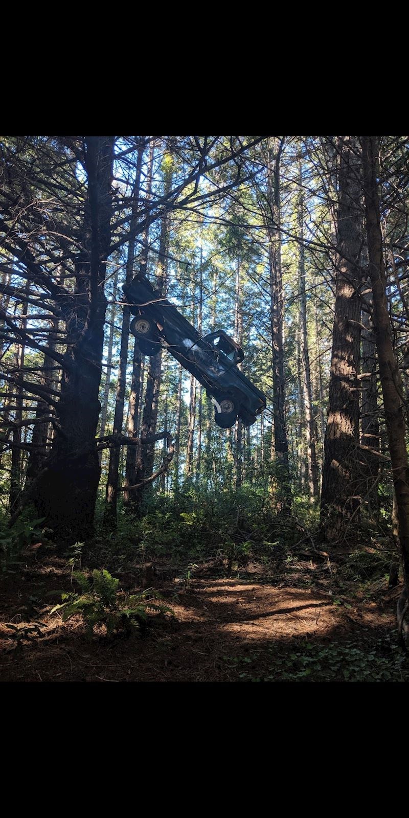 "Nakon tri sata šetnje, duboko u šumi naišao sam na ovaj prizor. I pojma nemam kako je do ovog moglo uopće doći"