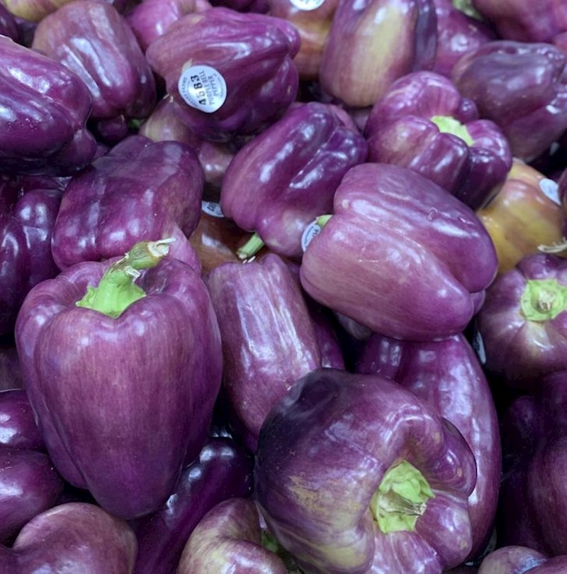 Postoje ljubičaste paprike!