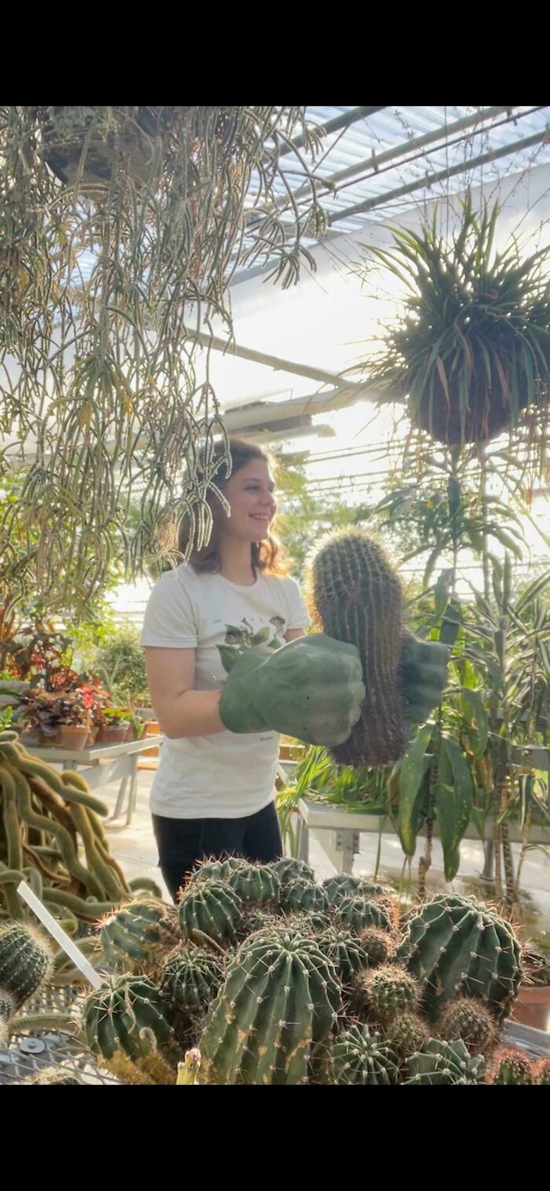 Rukavice za prenošenje kaktusa izgledaju kao Hulkove ruke